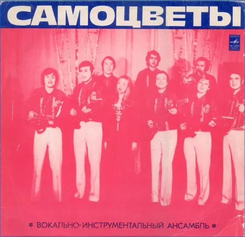 ВИА "Самоцветы" - Песня моя, песня