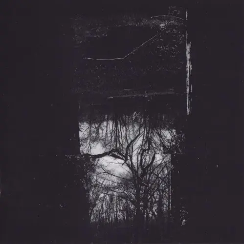 Reverence To Paroxysm / Lux Morte
