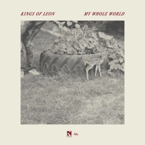Kings of Leon / My Whole World (Single)
