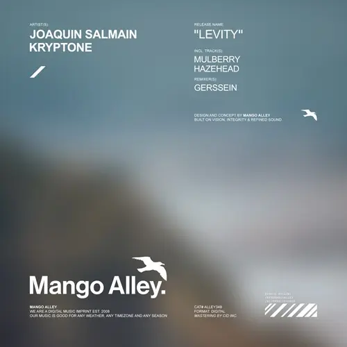 Joaquin Salmain & Kryptone - Levity
